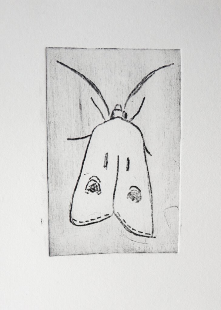 A hand-drawn moth print without additional colour
