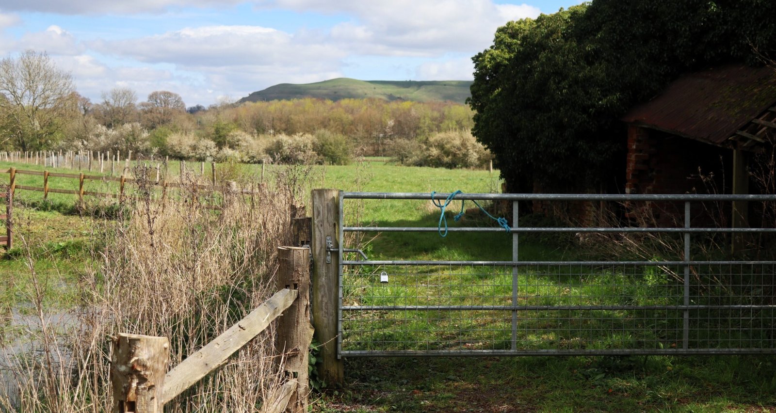 View of Hambledon Hill from Bere Marsh Farm with fencing, metal gate and derelict barn in the foreground